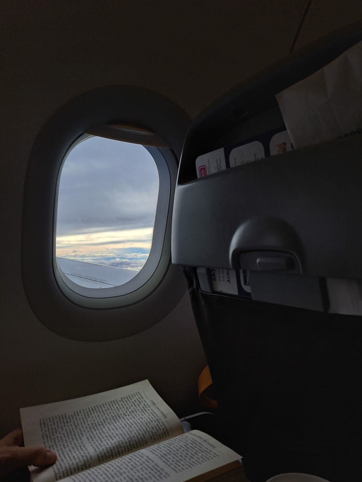 Person reading by an airplane window, natural light streaming in from the window