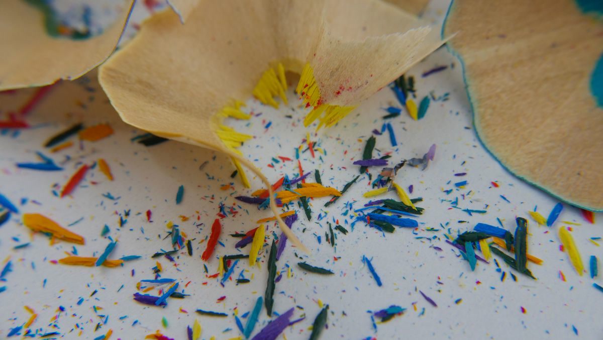 Close-up of pencil sharpening with wood shavings