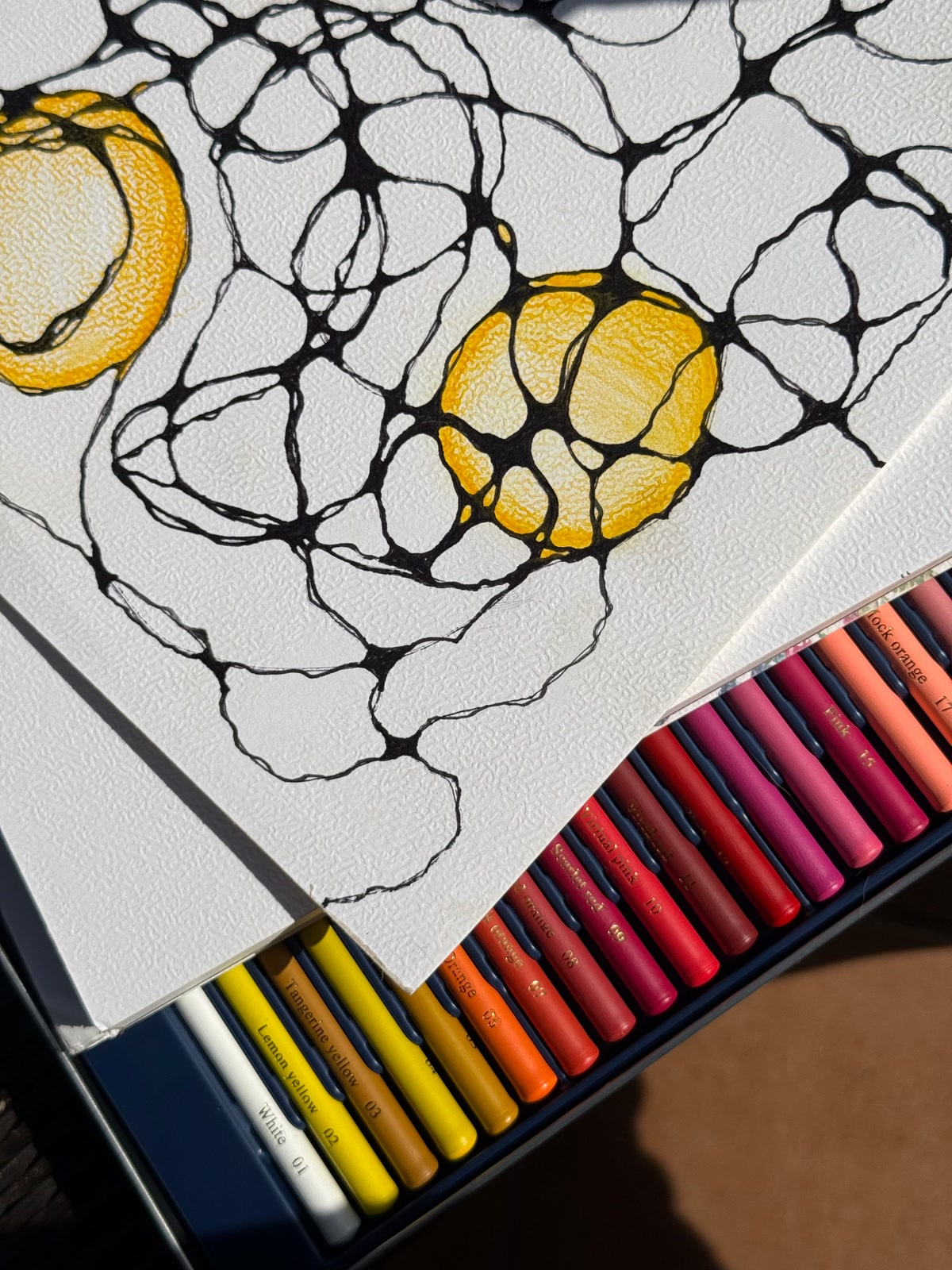 Close-up of hands using fine-tipped colored pencils to fill in small geometric tangle patterns, each tiny section a different color, repetitive and meditative coloring motion, warm soft lighting, shallow depth of field, peaceful focused atmosphere