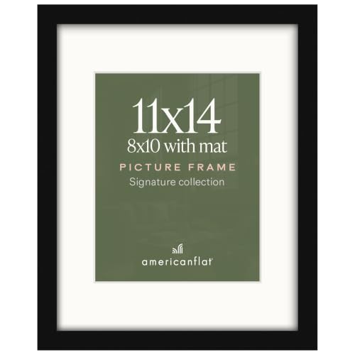 Americanflat 11x14 Signature frame (about $12)