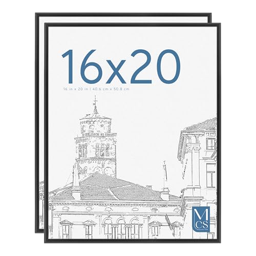 MCS Original 16x20 poster frame 2-pack (about $25)